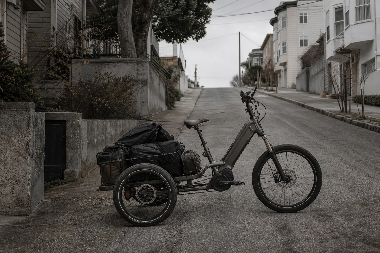 Loaded trike, steep street, heavy bags. How much motor you actually need